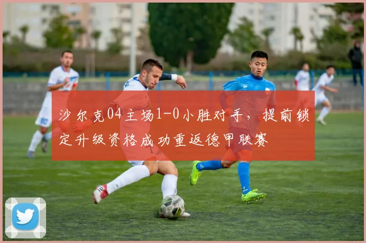 沙尔克04主场1-0小胜对手，提前锁定升级资格成功重返德甲联赛